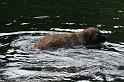 flaten_2008 jul 02_0278